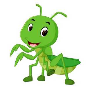 螳螂画祈祷螳螂卡通的插图照片