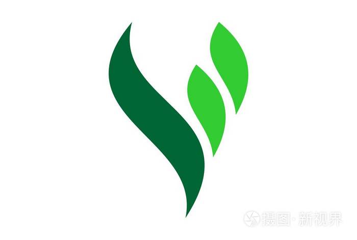 字母v绿叶概念标志
