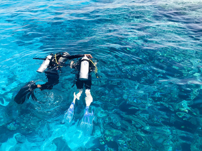 两个潜水员图片