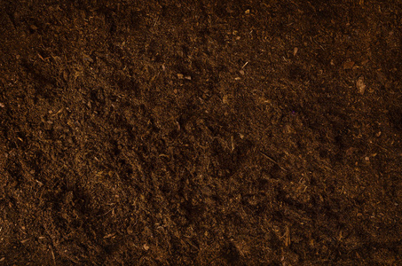 肥沃的干图片-肥沃的干素材-肥沃的干插画-摄图新视界