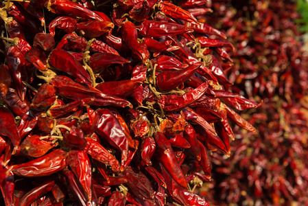 辣度很多红辣椒挂在绳子上,彼此相连. 晴天. 关闭视野.照片