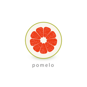 柑橘无缝图案.柚子的背景.矢量葡萄柚插图.