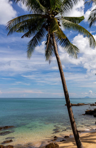 金海湾沙滩图片