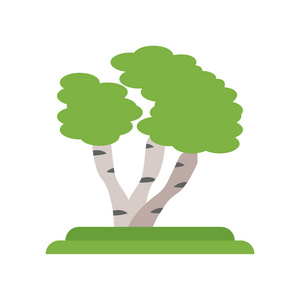 白 ba 上的灰色白桦树图标矢量符号与符号分离照片