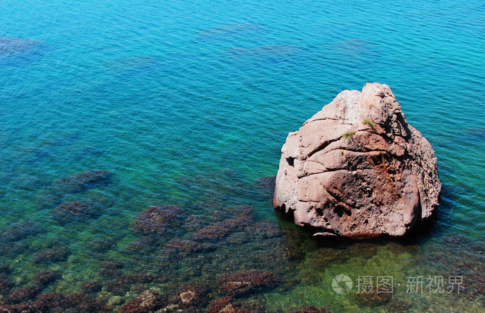 海里的石头图片