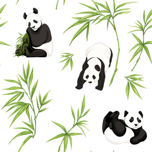 熊猫与竹子图片