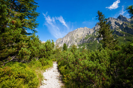 纳查尔美丽的维尔卡·斯图纳·多利纳在斯洛伐克高塔特拉山.