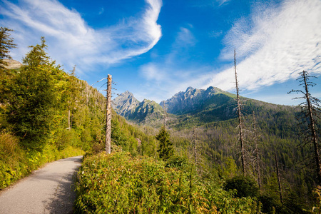 纳高尔美丽的维尔卡·斯图纳·多利纳在斯洛伐克高塔特拉山.
