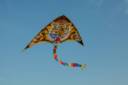 老虎风筝在空中照片