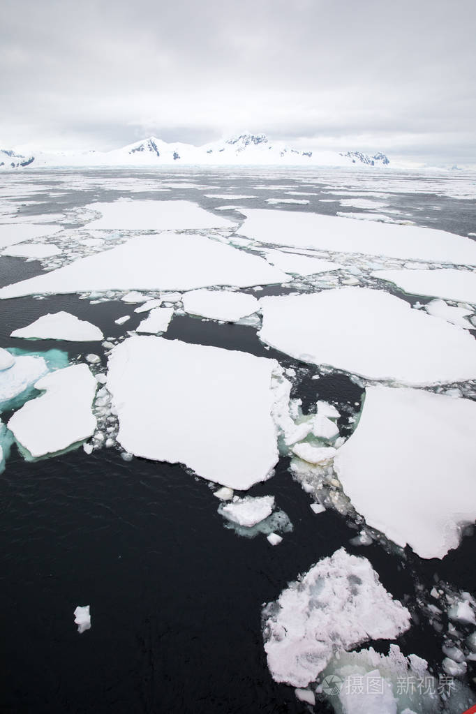 南极的冰盖海洋中的冰山在海洋中游动在海洋中融化