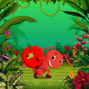 helicolia大蚂蚁用手举起大苹果照片