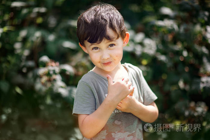 花园里吃树莓后脸脏的男孩的画像