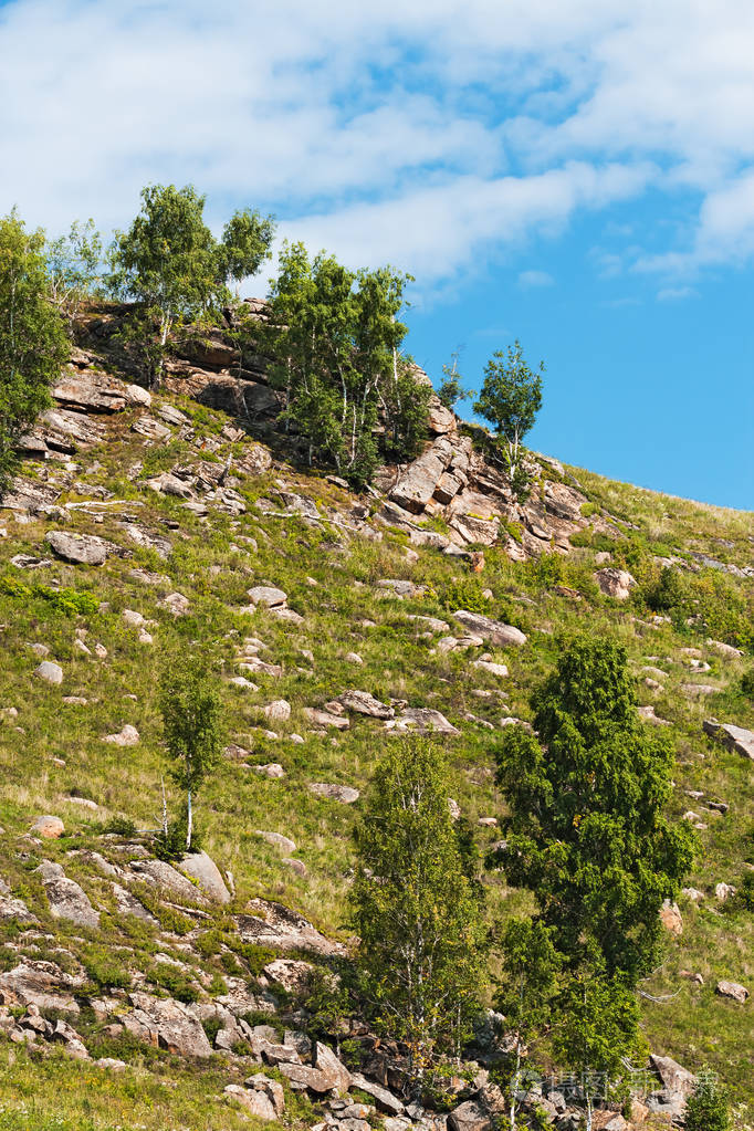 山坡上覆盖着天然的石头. 俄罗斯西伯利亚南部阿尔泰山