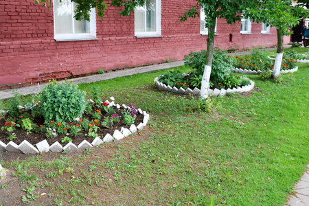 自制的花坛, 有美丽的大学英语和植物, 绿色和绿草照片