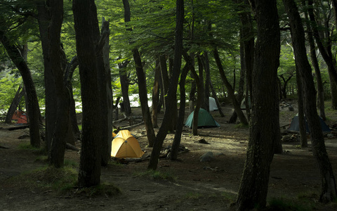 荒野地区一群帐篷在森林中的一个野生营地,靠近河流/营地装备/许多