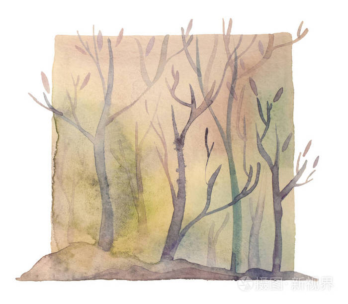 水彩画魔法森林隔离了深深的神秘森林插图