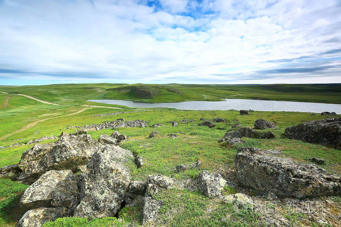 令人惊叹的夏季苔原景观绿色苔藓生态系统