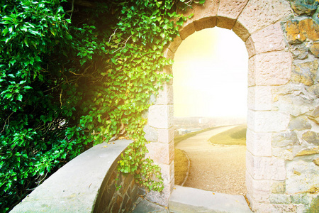 通往更美好世界的老门. 新的生活观念.照片