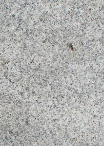 小蚂蚱灰色花岗岩石材背景与小蚂蚱. 老化粗糙的岩石材料纹理顶部照片