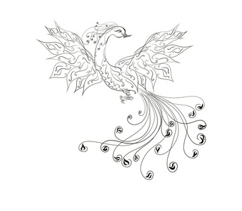 漩涡线条美丽的太阳鸟凤凰,华丽的尾巴展开翅膀,用漩涡画出优美的线条