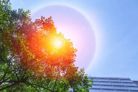 城市中奇妙美丽的太阳晕现象照片