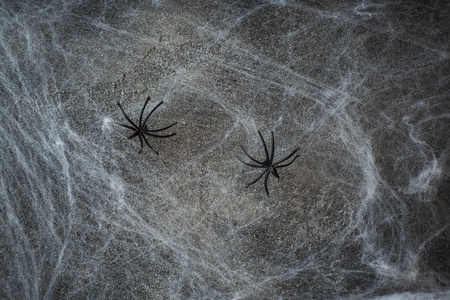 万圣节概念一个黑暗的背景老墙与蜘蛛网贺卡背景.照片