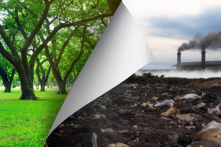 树木运动图片-树木运动素材-树木运动插画-摄图新视界