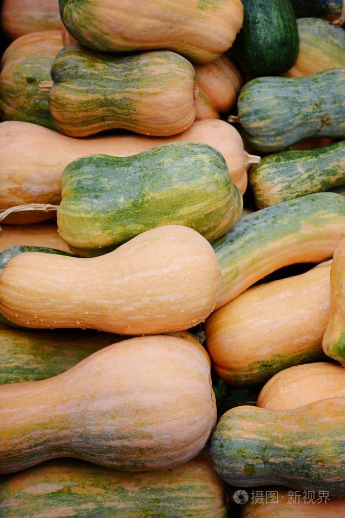 各种各样的南瓜秋天的农场收获秋季自然概念南瓜户外