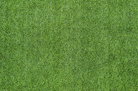 绿草草坪图片-绿草草坪素材-绿草草坪插画-摄图新视界