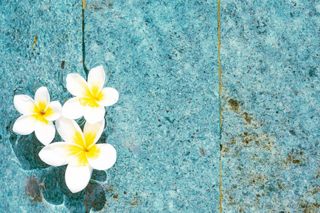 水面花图片 水面花素材 水面花插画 摄图新视界 水面花图片 水面花素材 水面花插画 摄图新视界