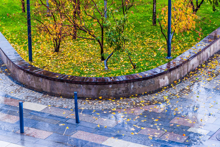 下雨草坪黄色的枫叶在潮湿的花岗岩路面上,在现代公园的绿色草坪上.