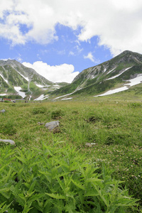 日本稻山夏季有雪的泰山山脉图片