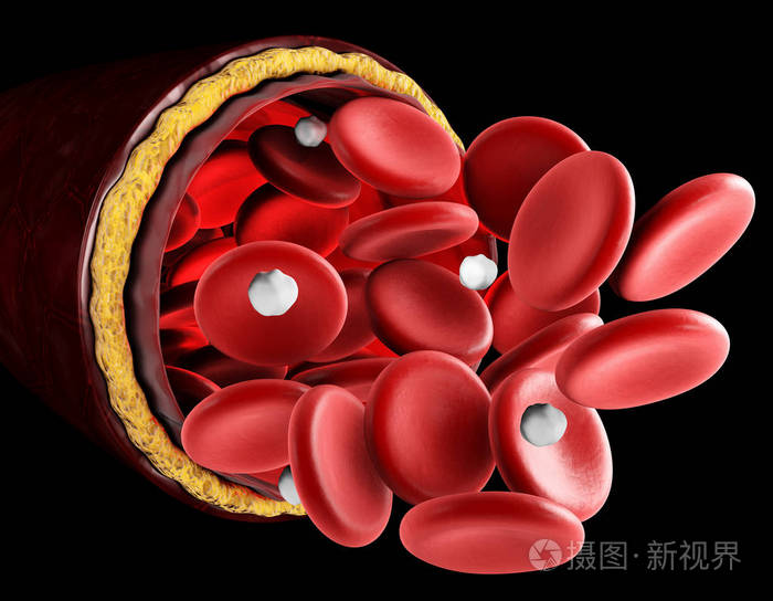 红细胞切片图图片