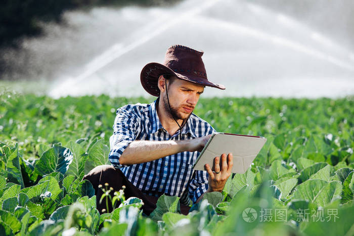 一位年轻的农艺师坐在种植园上,检查作物的质量.