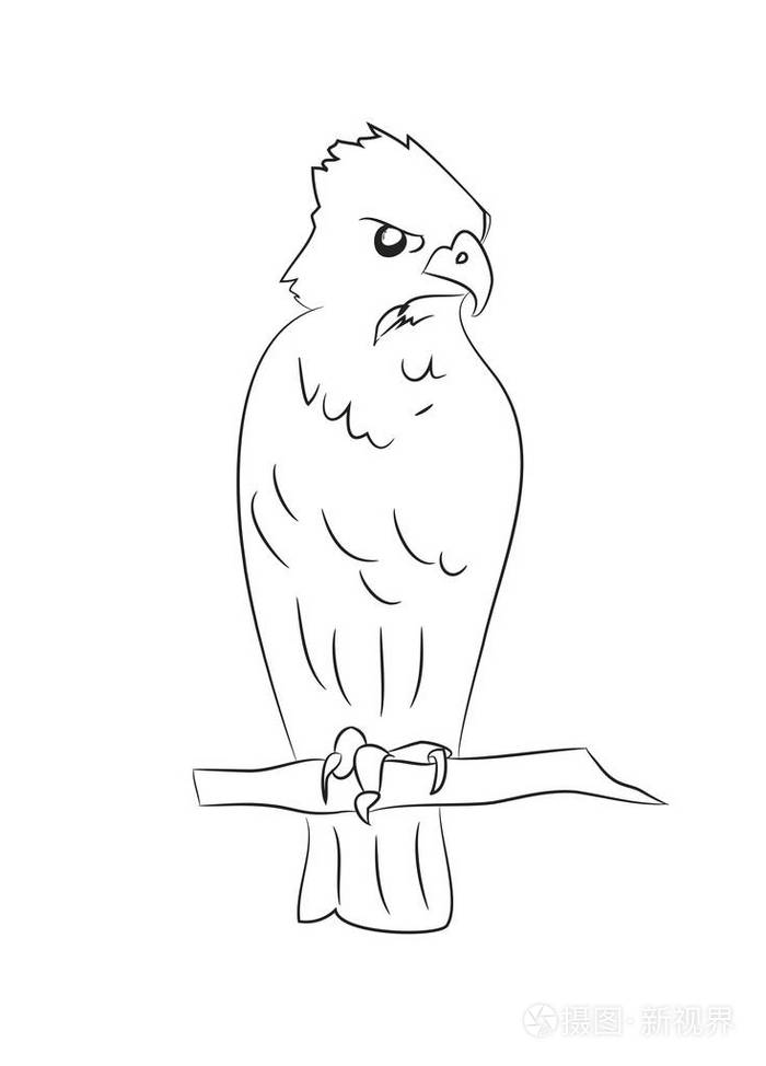 鹰坐画线矢量白色背景