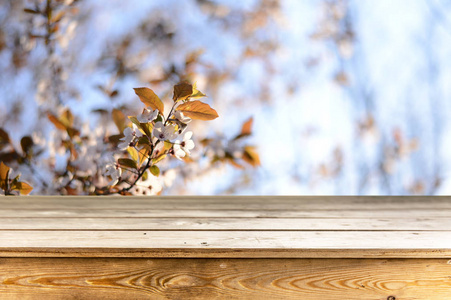 带有春的微信名图片