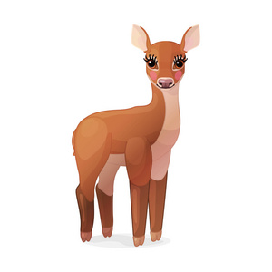矢量卡通动物剪贴画:母鹿照片