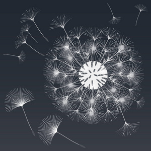 设计蒲公英的抽象背景插画