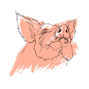 伤心的猪图片-伤心的猪素材-伤心的猪插画-摄图新视界