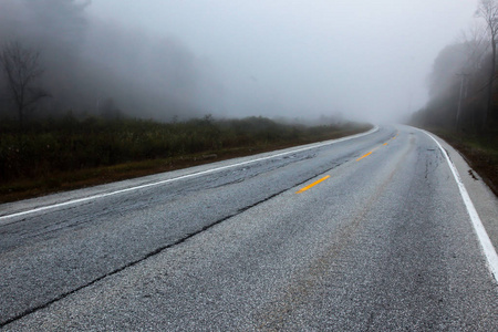 清晨的雾状道路图片