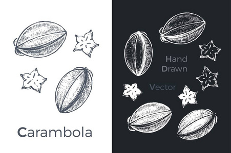 手绘杨桃图标.向量例证照片