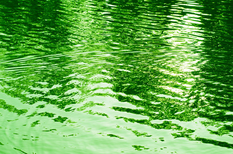 水果在绿色的色调图片