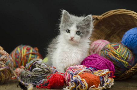 婴儿玩海洋球图片-婴儿玩海洋球素材-婴儿玩海洋球插画-摄图新视界