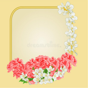 金色框架，粉红色芙蓉和茉莉花矢量