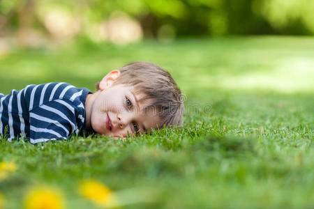 自然 颜色 乐趣 草地 微笑 可爱的 童年 蒲公英 植物