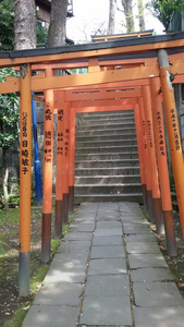 旅游 旅行 公园 金贾 日本 寺庙