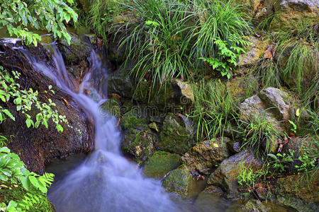 公园 岩石 花园 自然 放松 植物 水景 小溪 树叶 级联