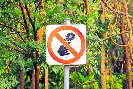 不要摘花红色禁止标志不要采花
