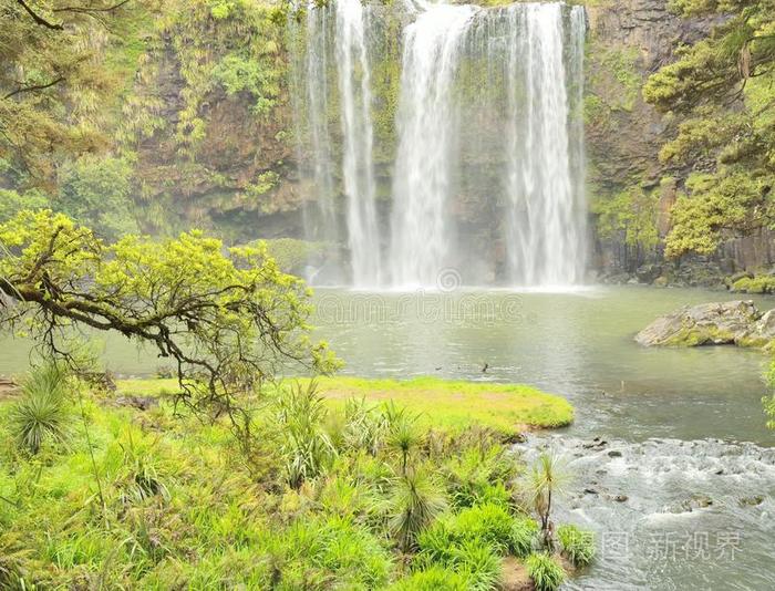 假期 环境 瀑布 岩石 旅游业 树叶 灌木 自然 森林 风景