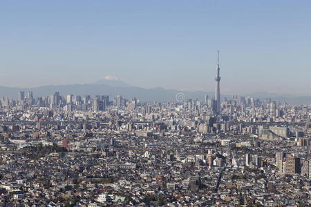 吸引力 城市 原宿 早晨 大都会 市中心 建筑学 建筑 办公室